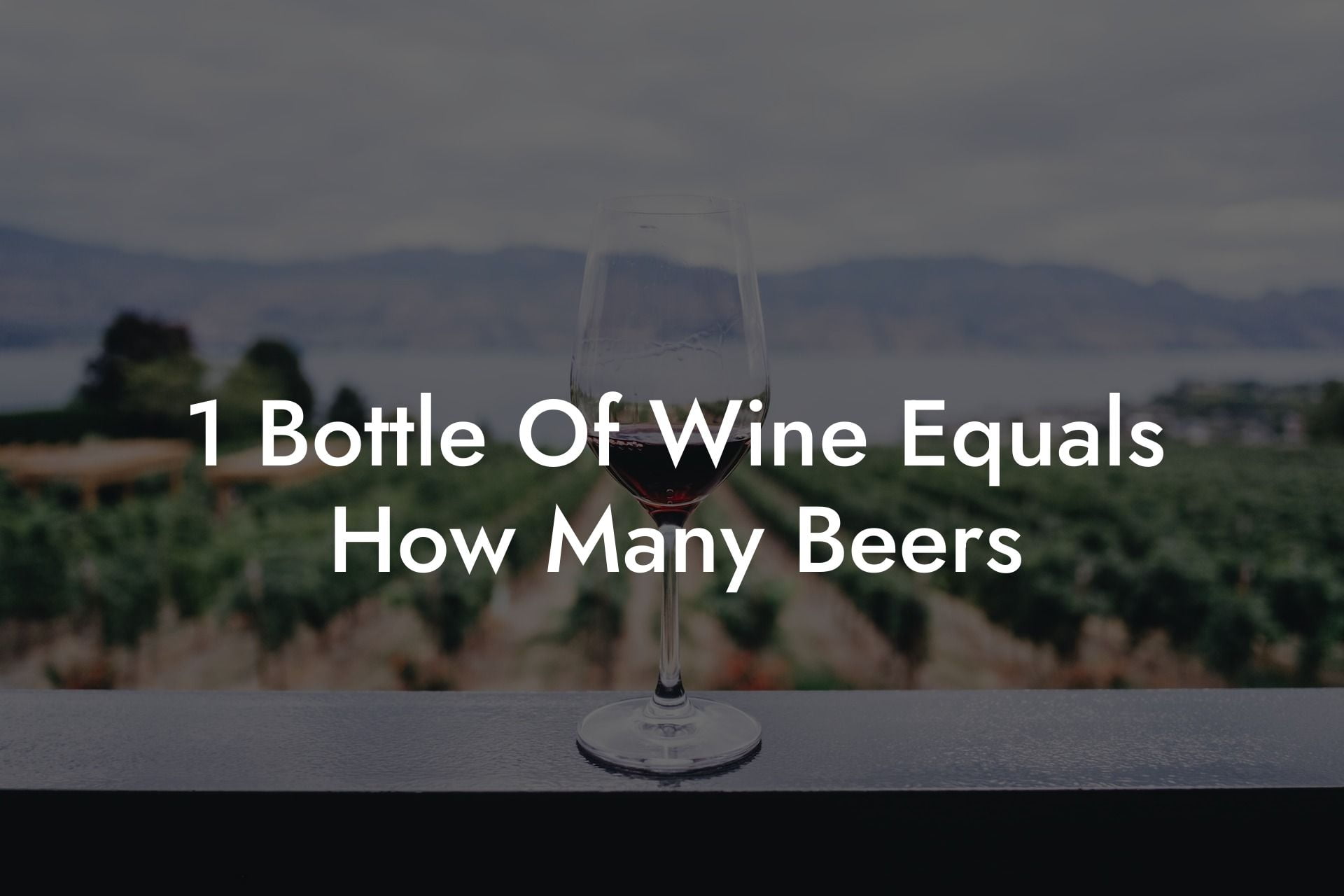 1 Bottle Of Wine Equals How Many Beers