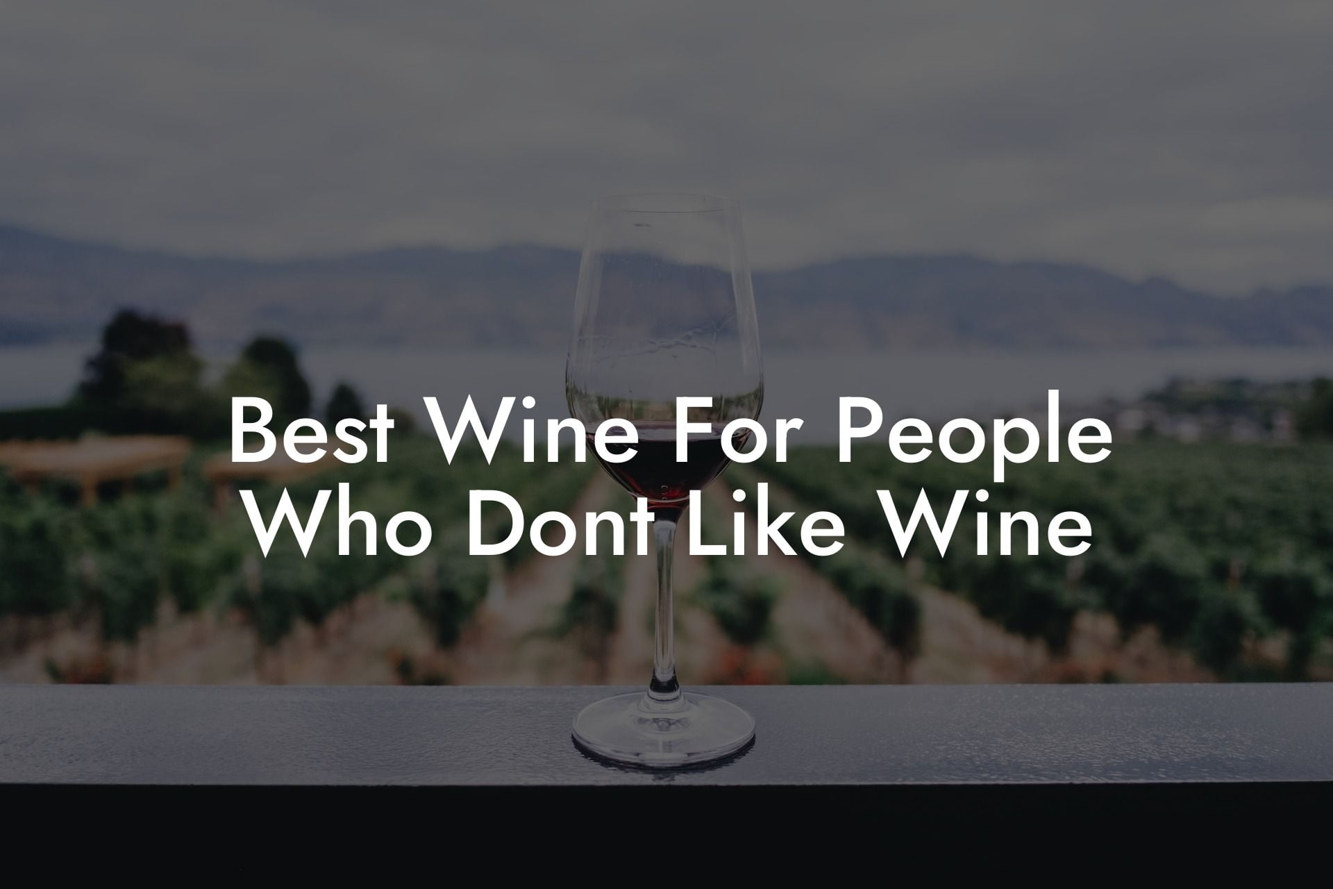 Best Wine For People Who Don'T Like Wine