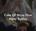 Case Of Wine How Many Bottles