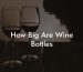 How Big Are Wine Bottles