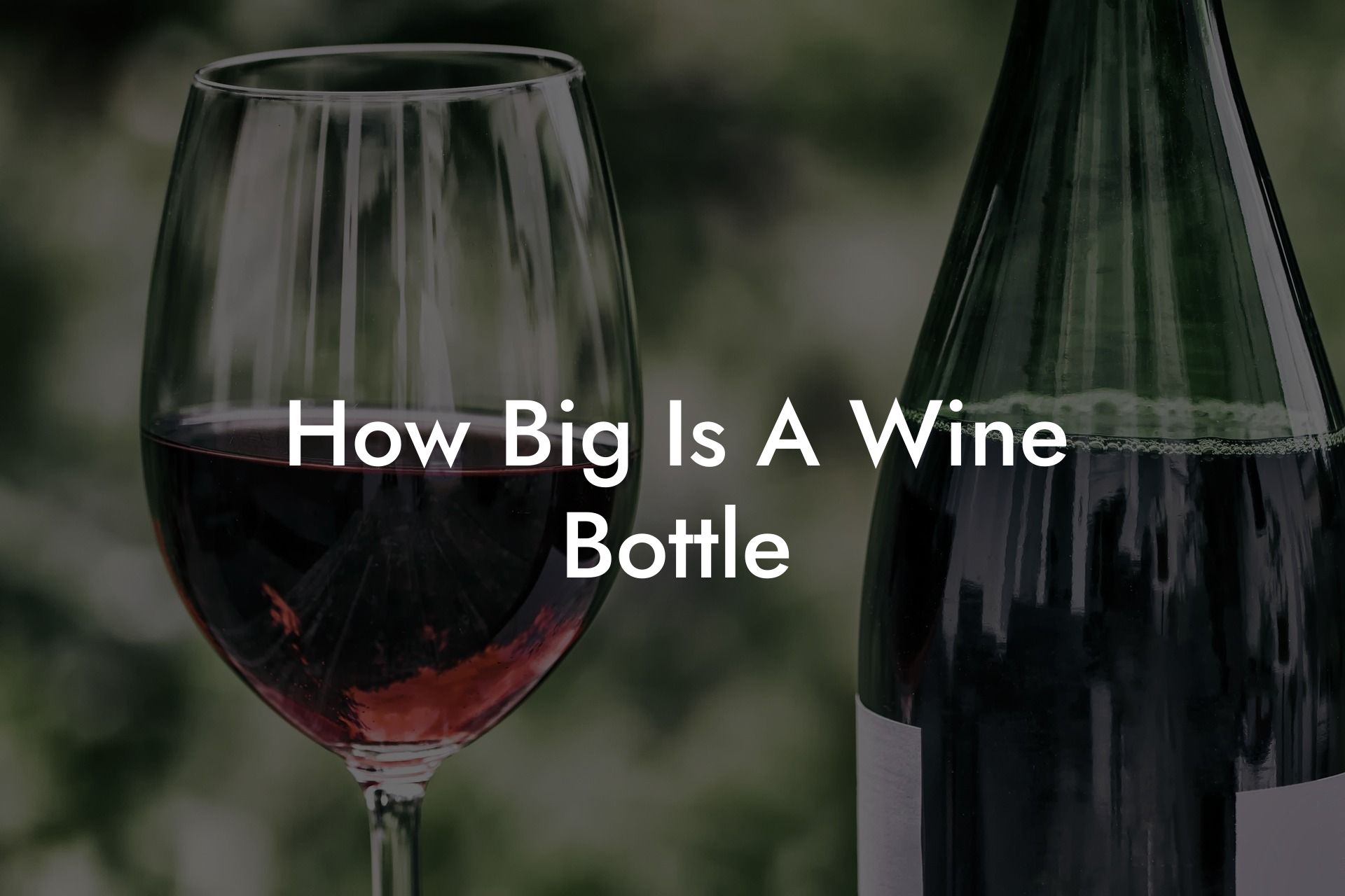 How Big Is A Wine Bottle