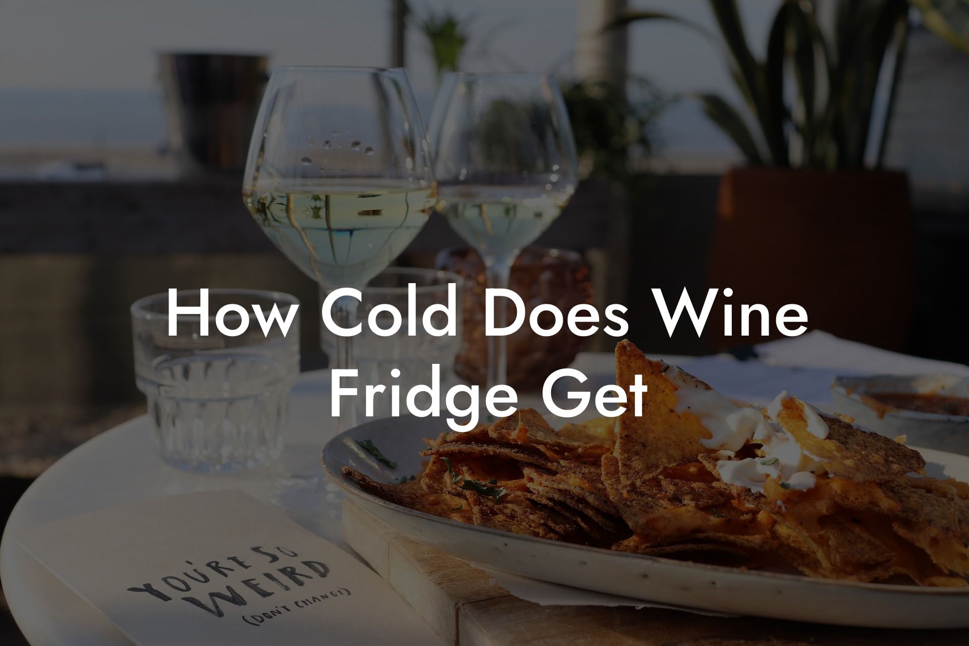How Cold Does Wine Fridge Get