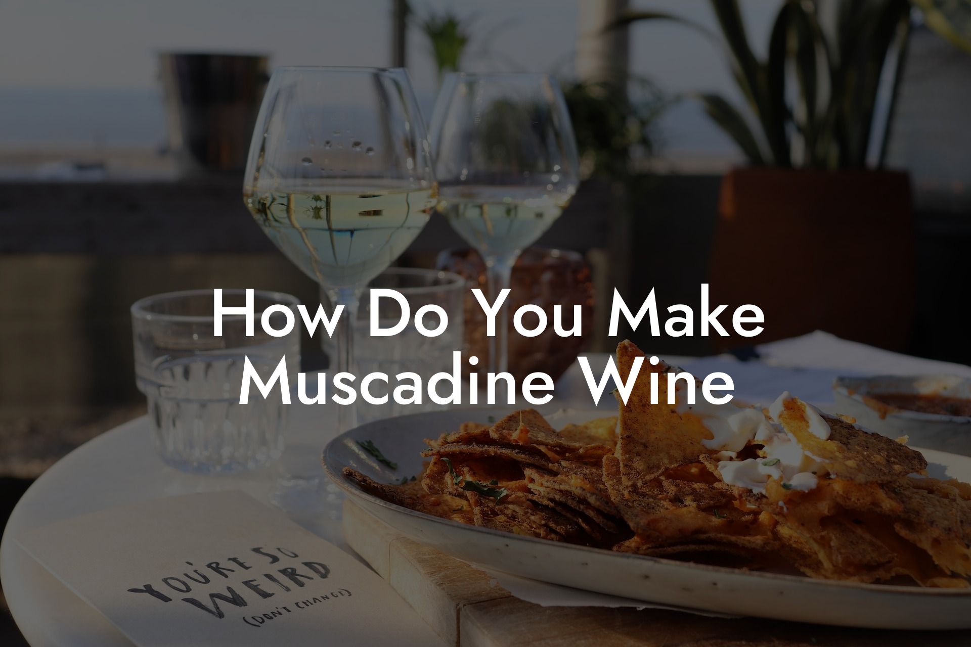 How Do You Make Muscadine Wine