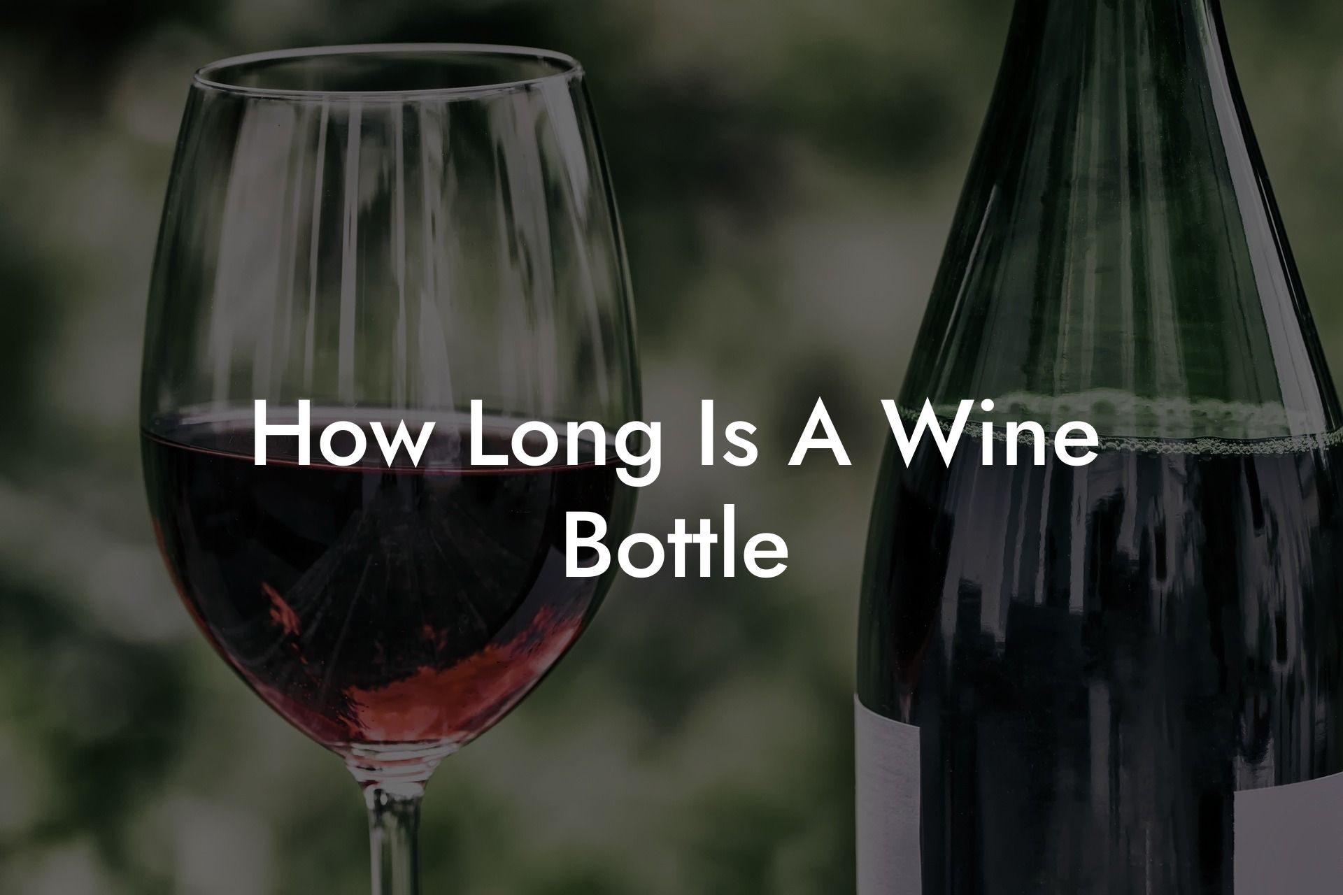 How Long Is A Wine Bottle