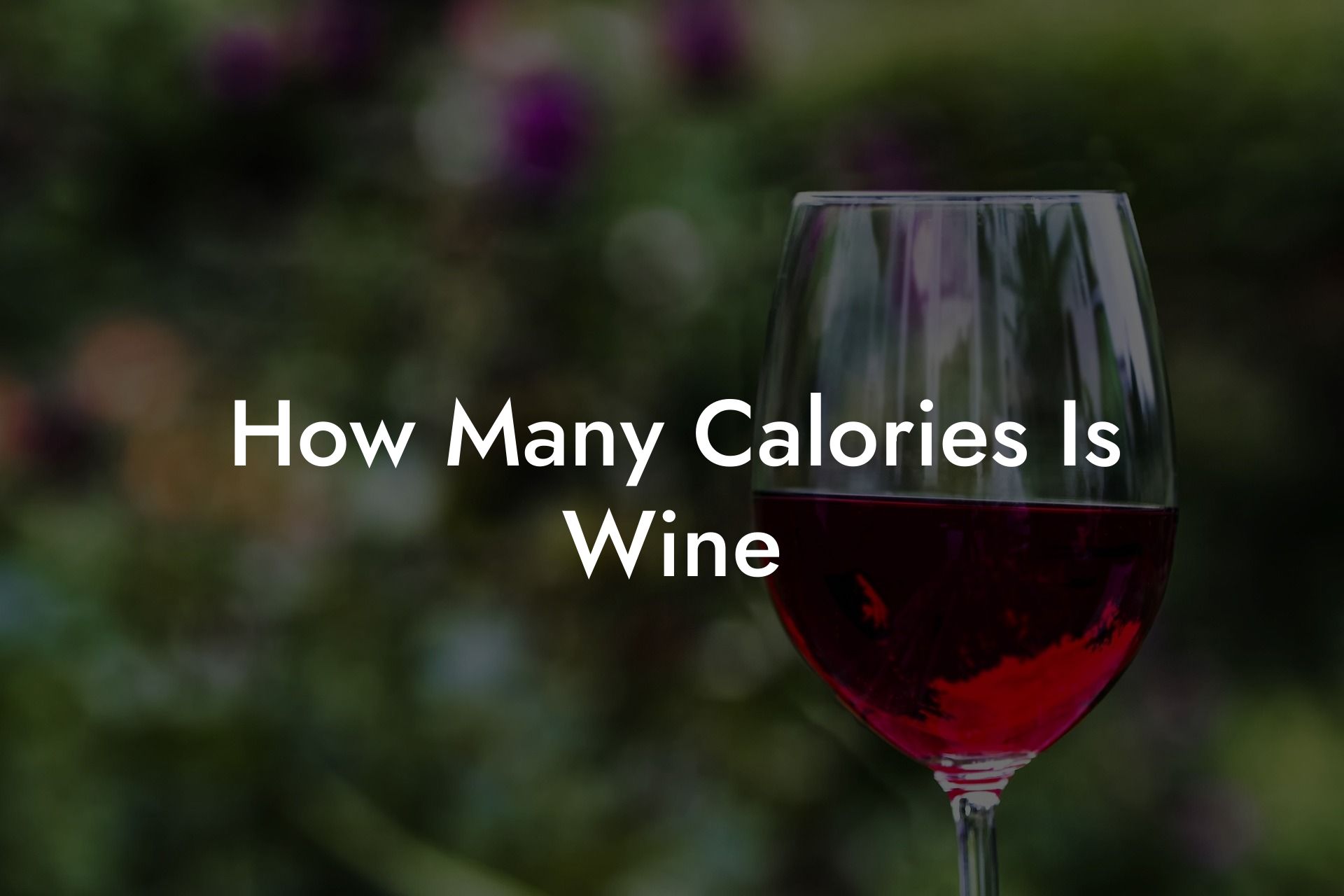 How Many Calories Is Wine