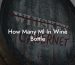 How Many Ml In Wine Bottle