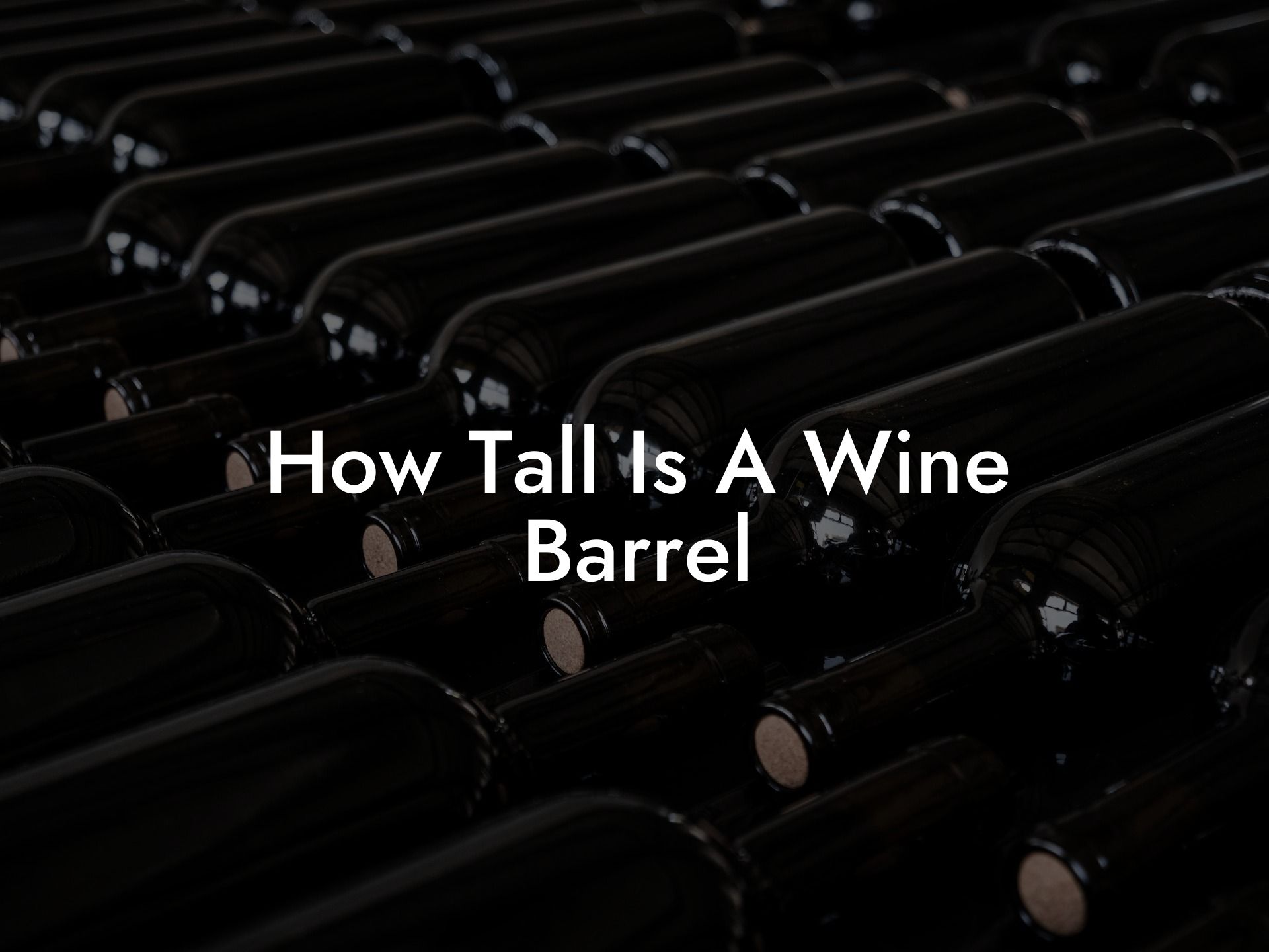 How Tall Is A Wine Barrel