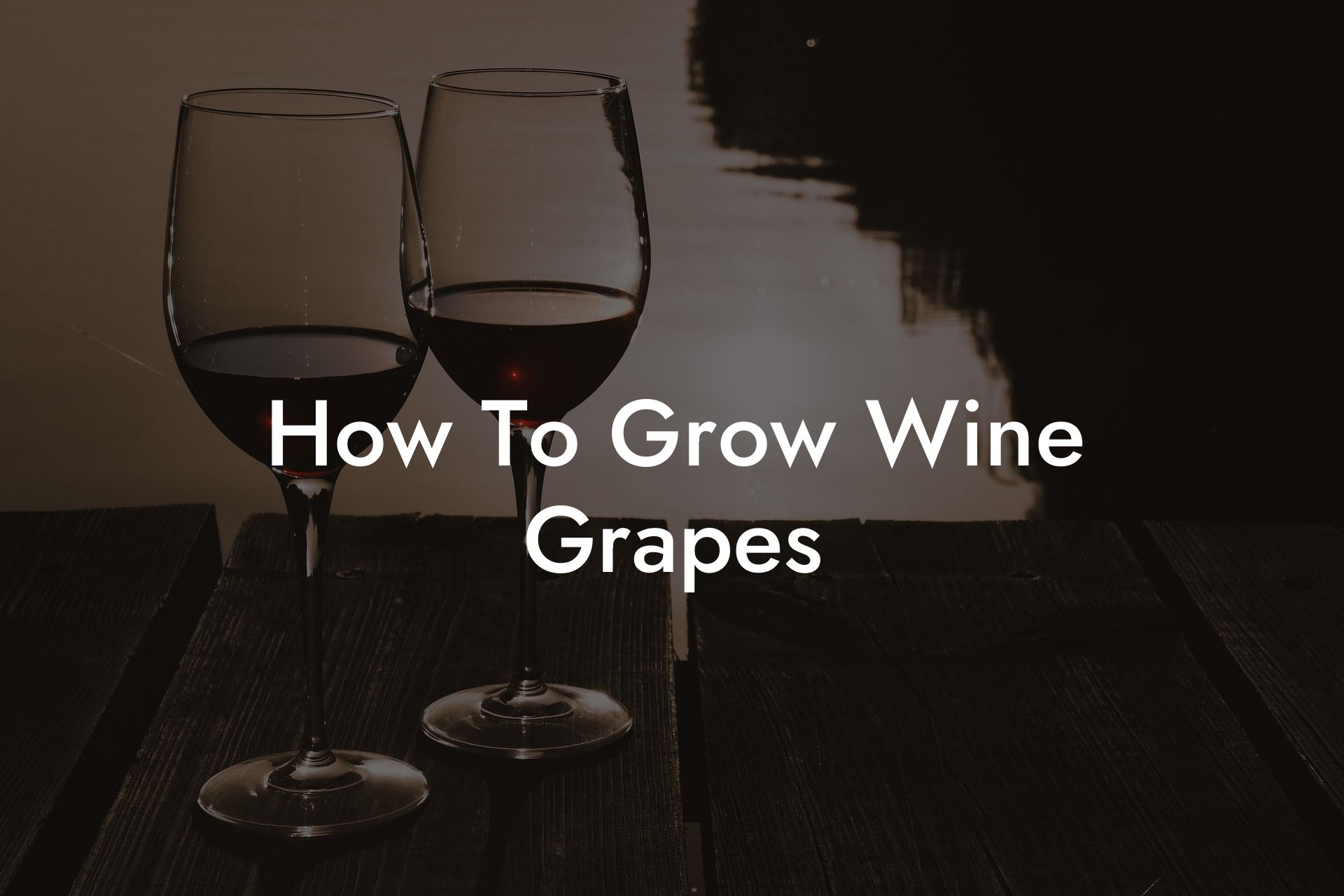 How To Grow Wine Grapes