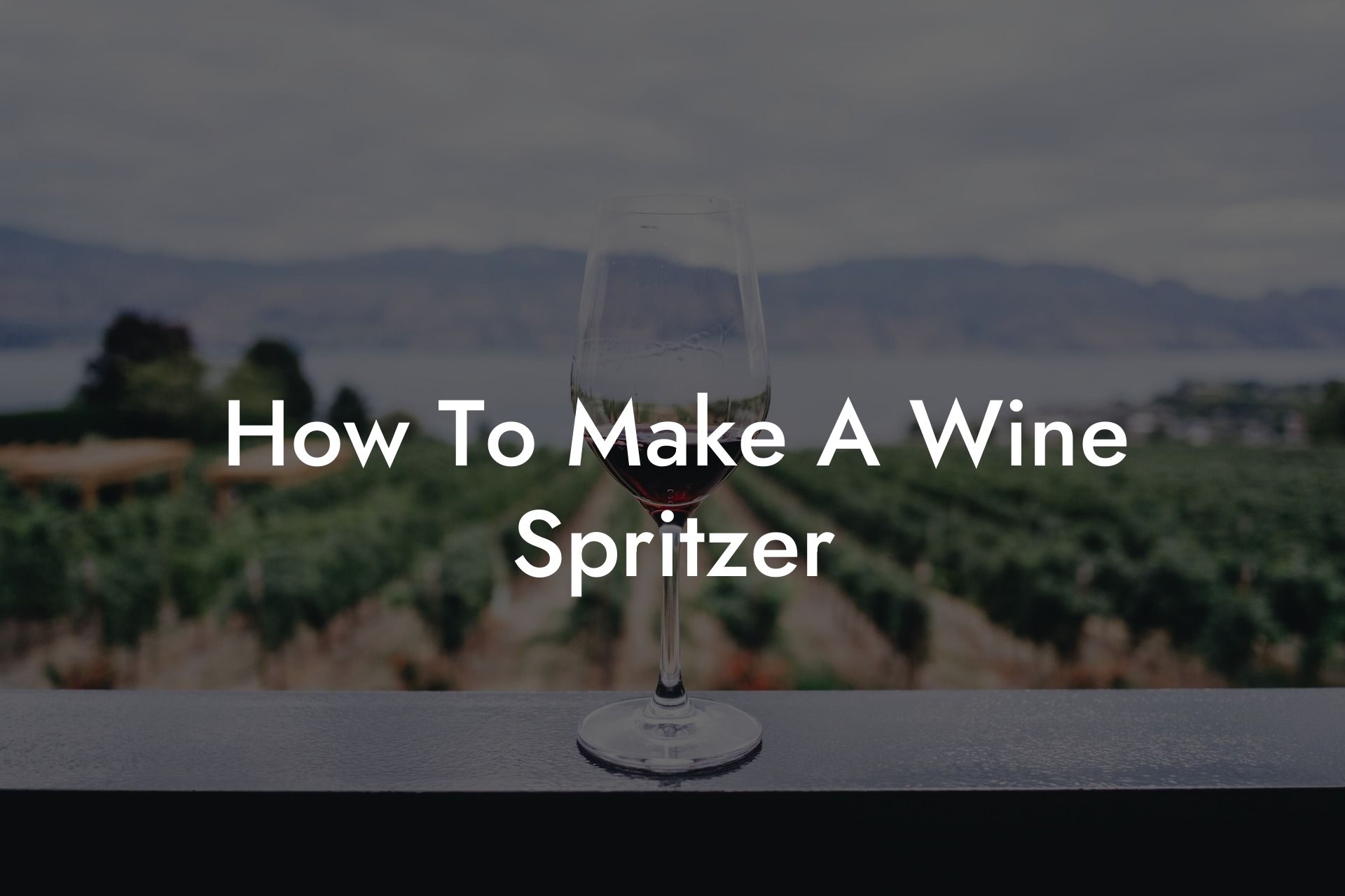 How To Make A Wine Spritzer