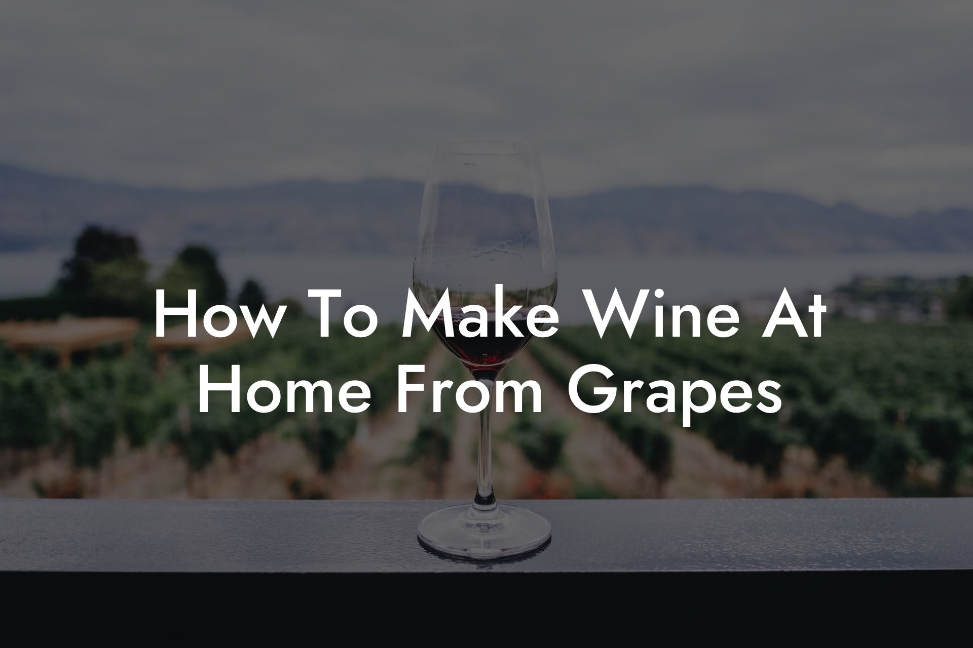 How To Make Wine At Home From Grapes