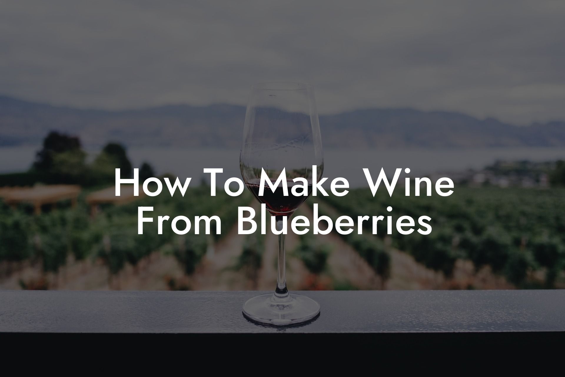 How To Make Wine From Blueberries