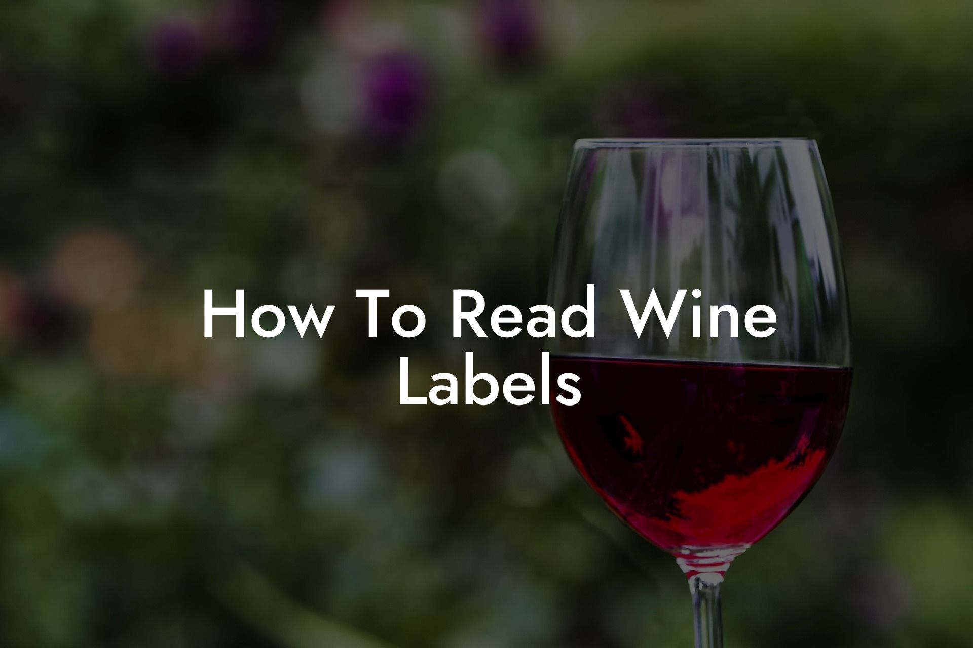 How To Read Wine Labels