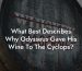 What Best Describes Why Odysseus Gave His Wine To The Cyclops?