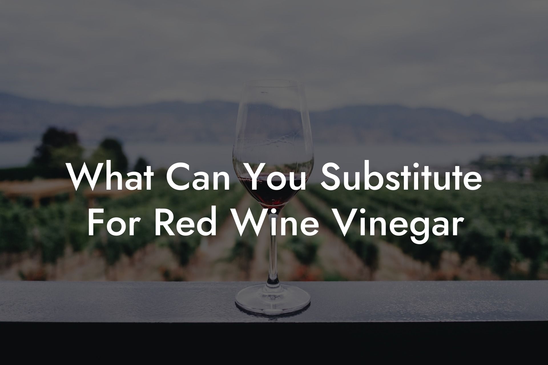 What Can You Substitute For Red Wine Vinegar