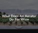 What Does An Aerator Do For Wine