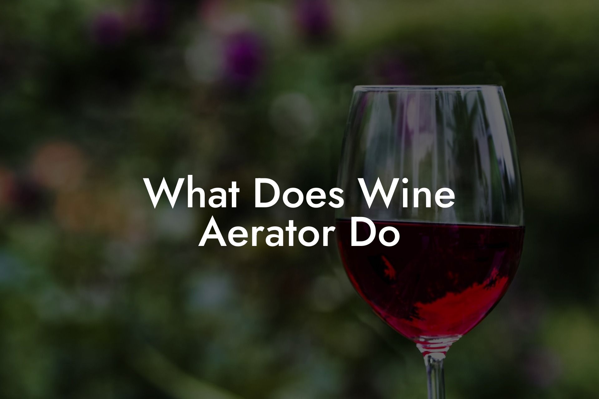 What Does Wine Aerator Do