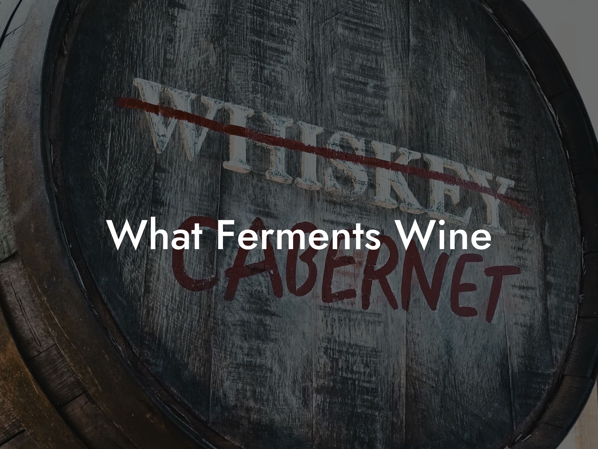 What Ferments Wine