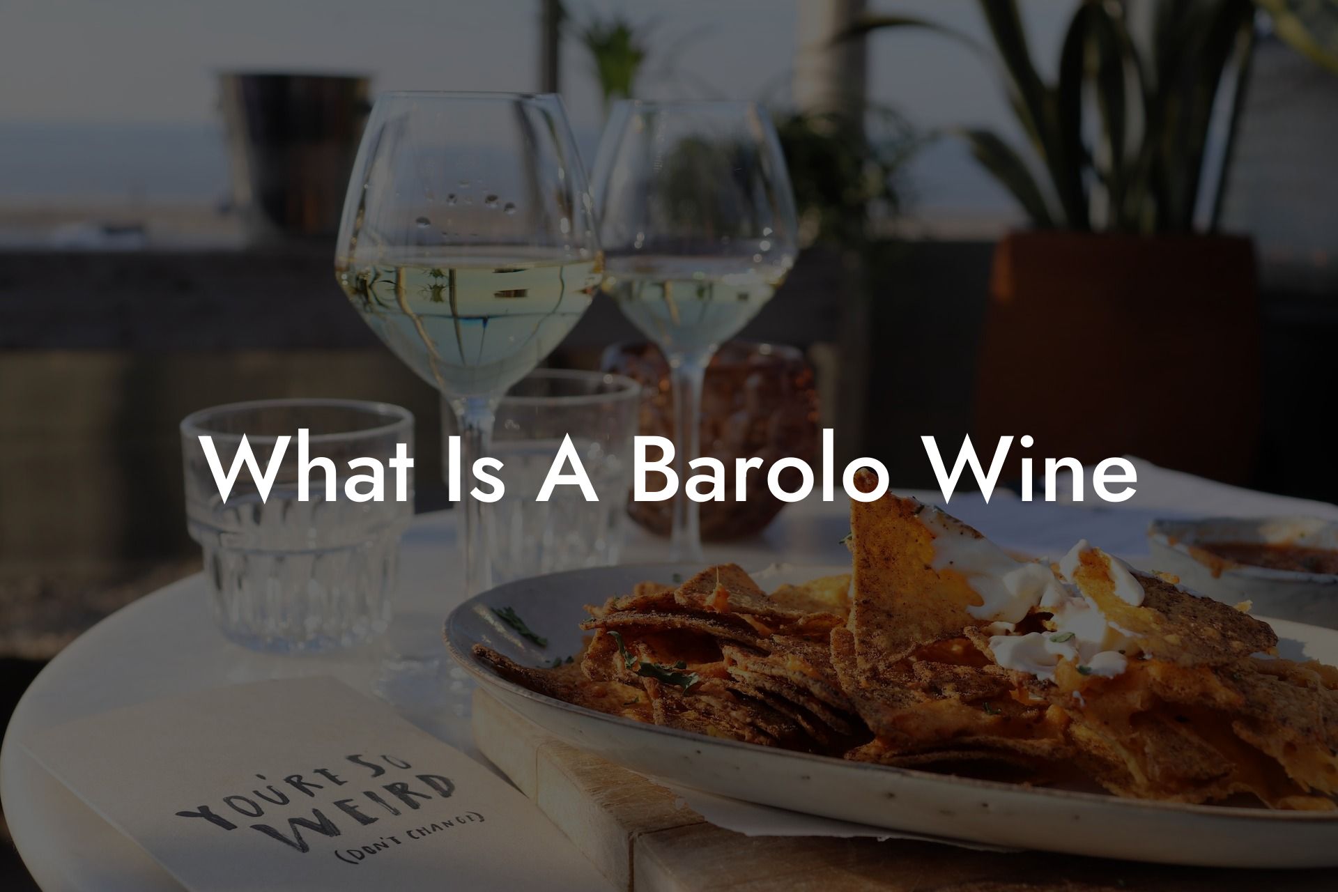 What Is A Barolo Wine