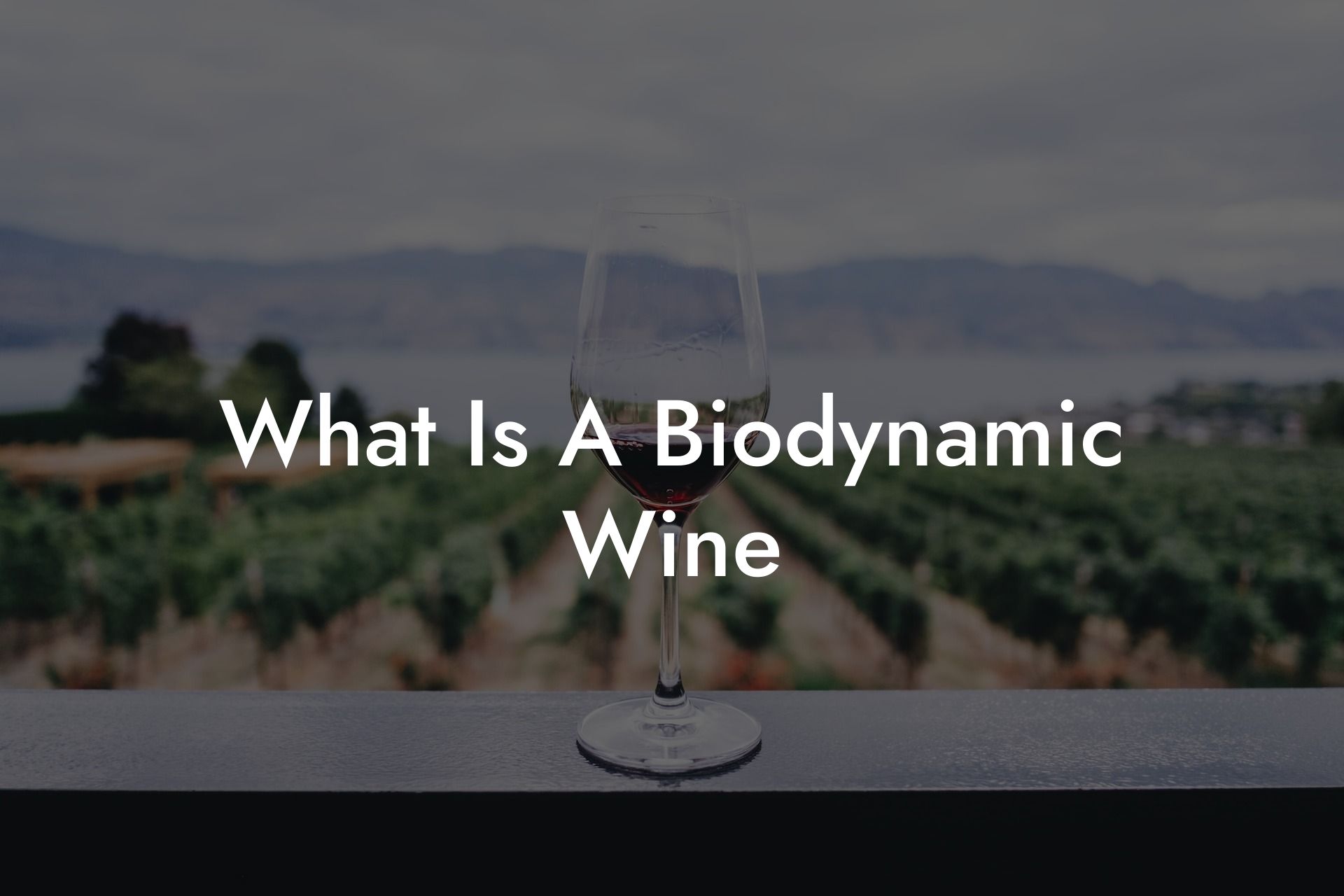 What Is A Biodynamic Wine