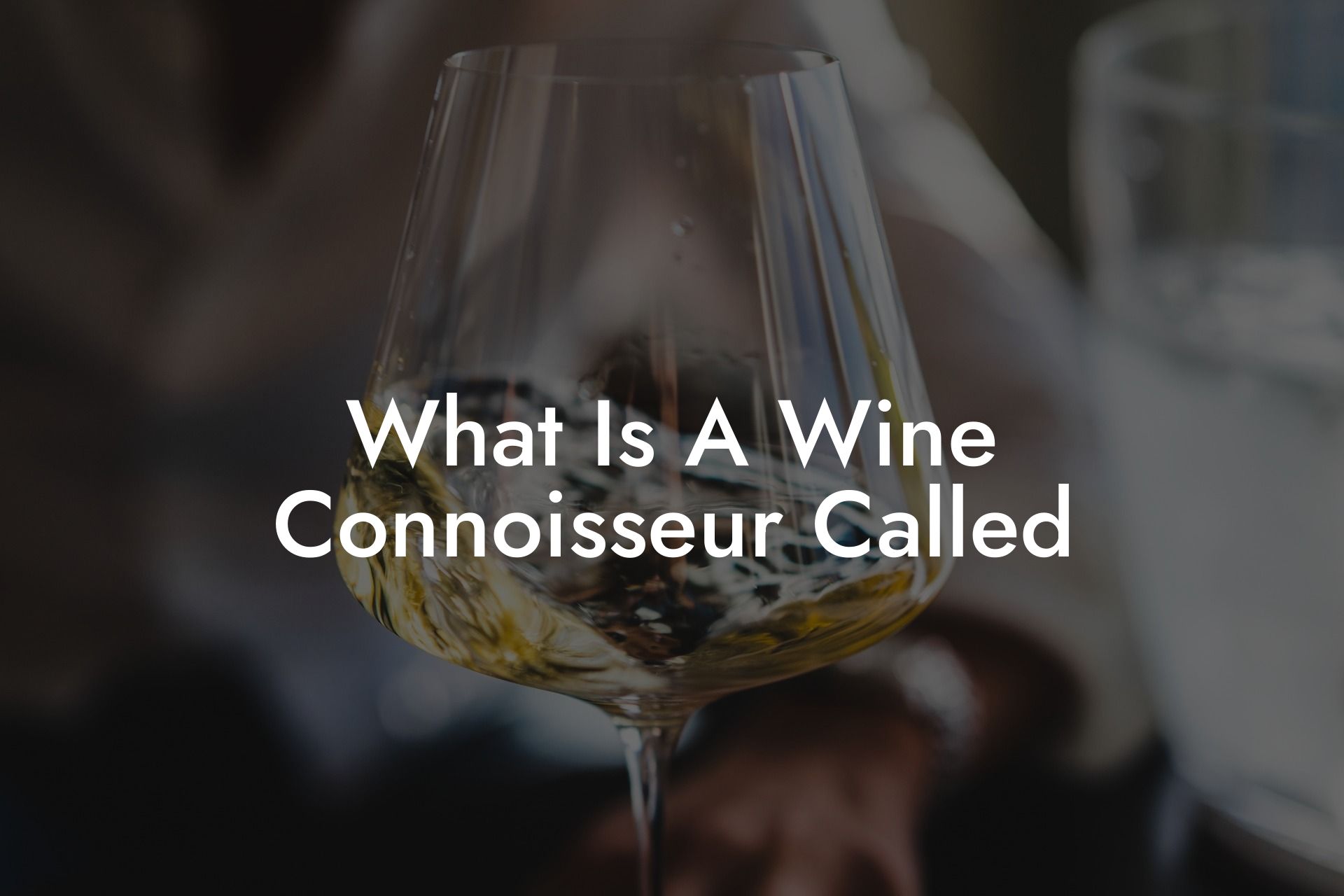 What Is A Wine Connoisseur Called