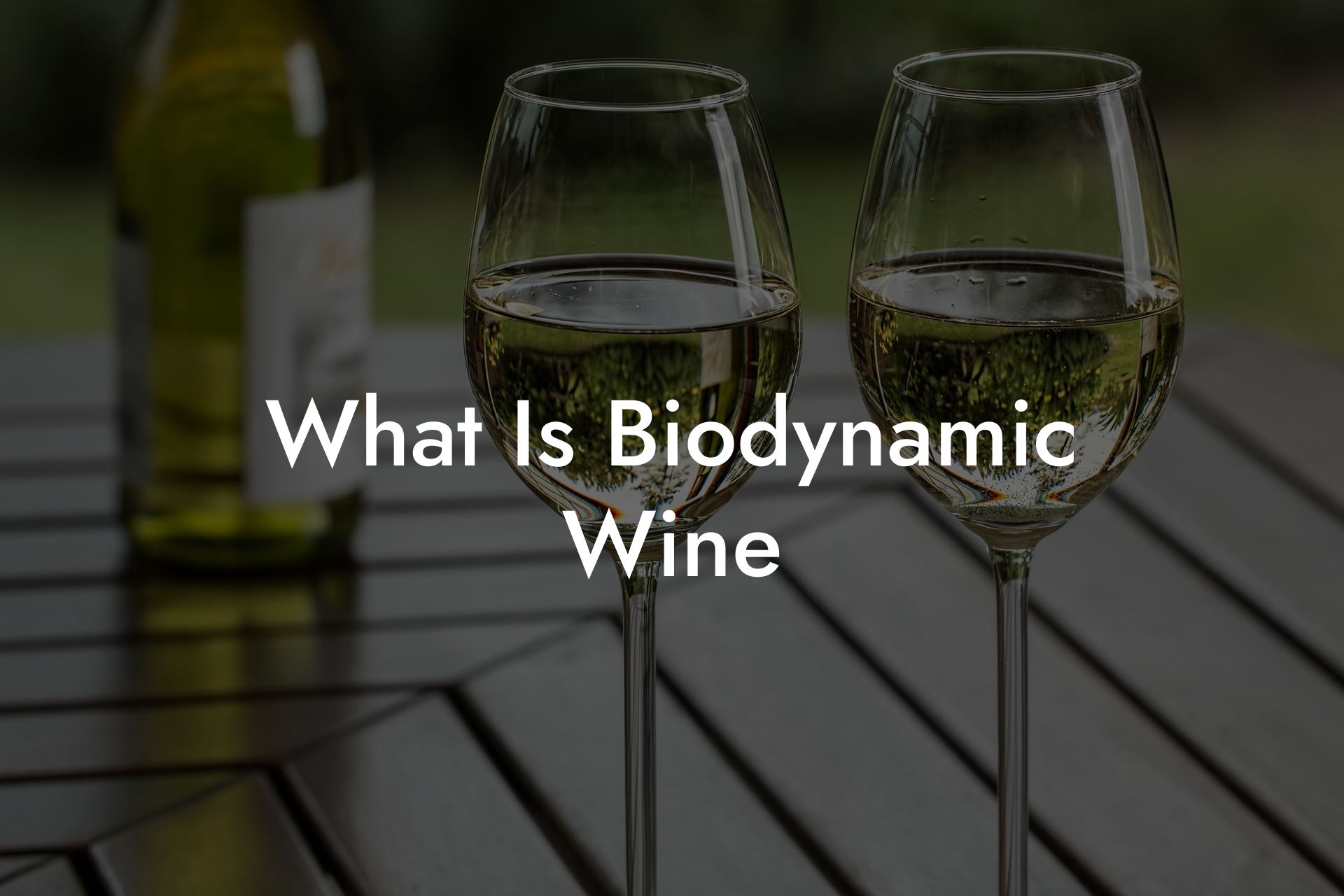 What Is Biodynamic Wine