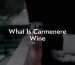 What Is Carmenere Wine