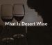 What Is Desert Wine