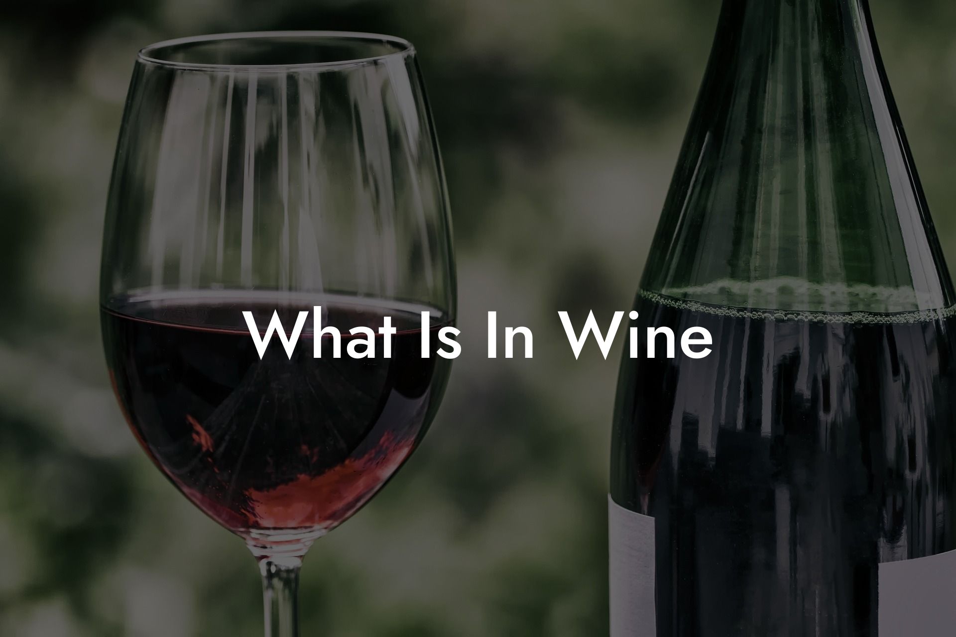 What Is In Wine