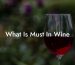 What Is Must In Wine