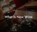 What Is New Wine