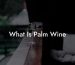 What Is Palm Wine