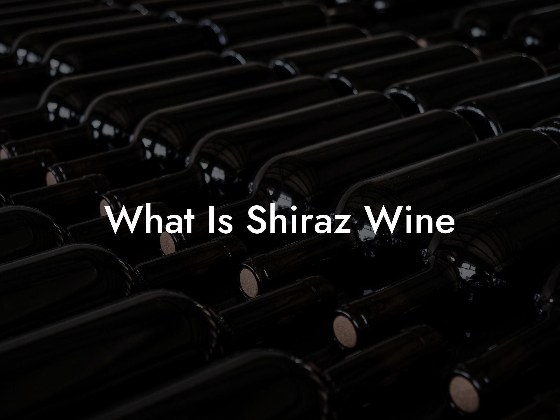 What Is Shiraz Wine