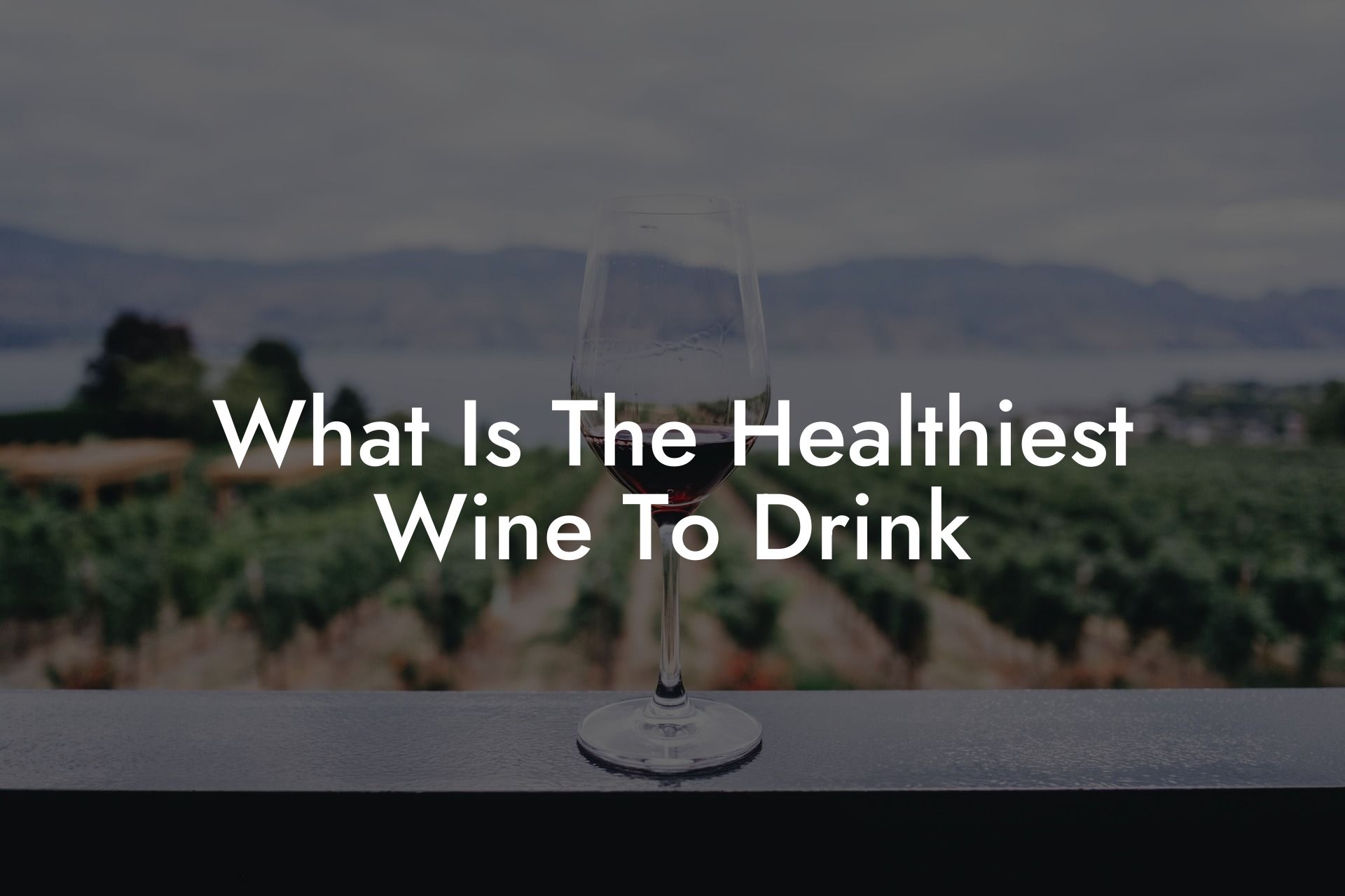 What Is The Healthiest Wine To Drink