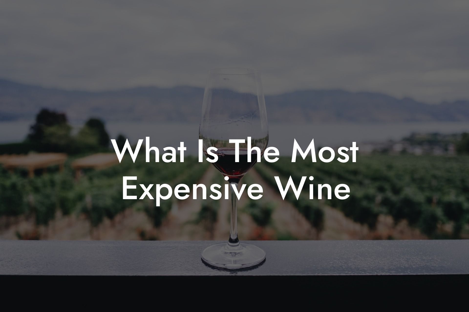 What Is The Most Expensive Wine