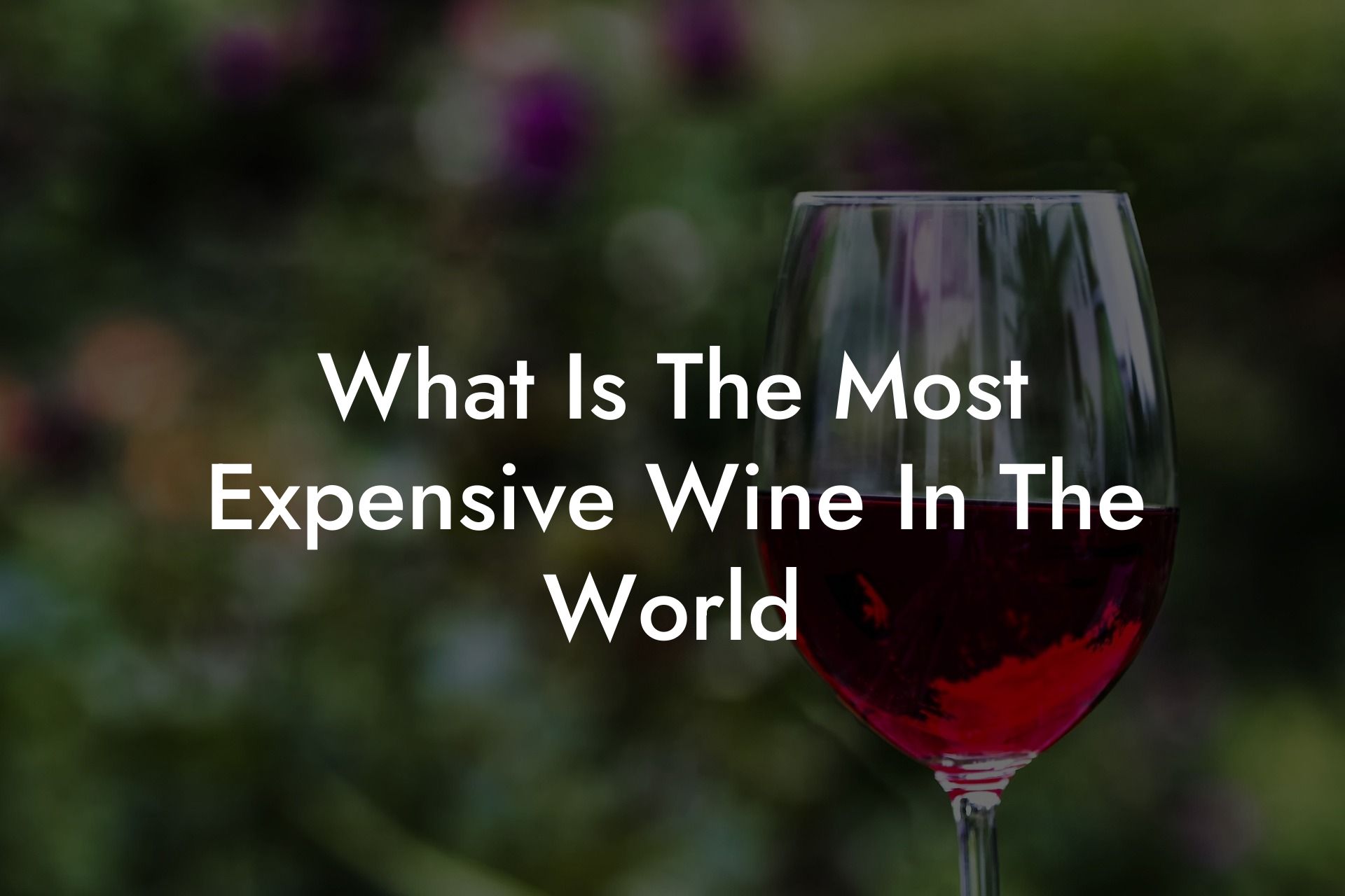 What Is The Most Expensive Wine In The World