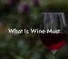 What Is Wine Must