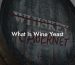 What Is Wine Yeast
