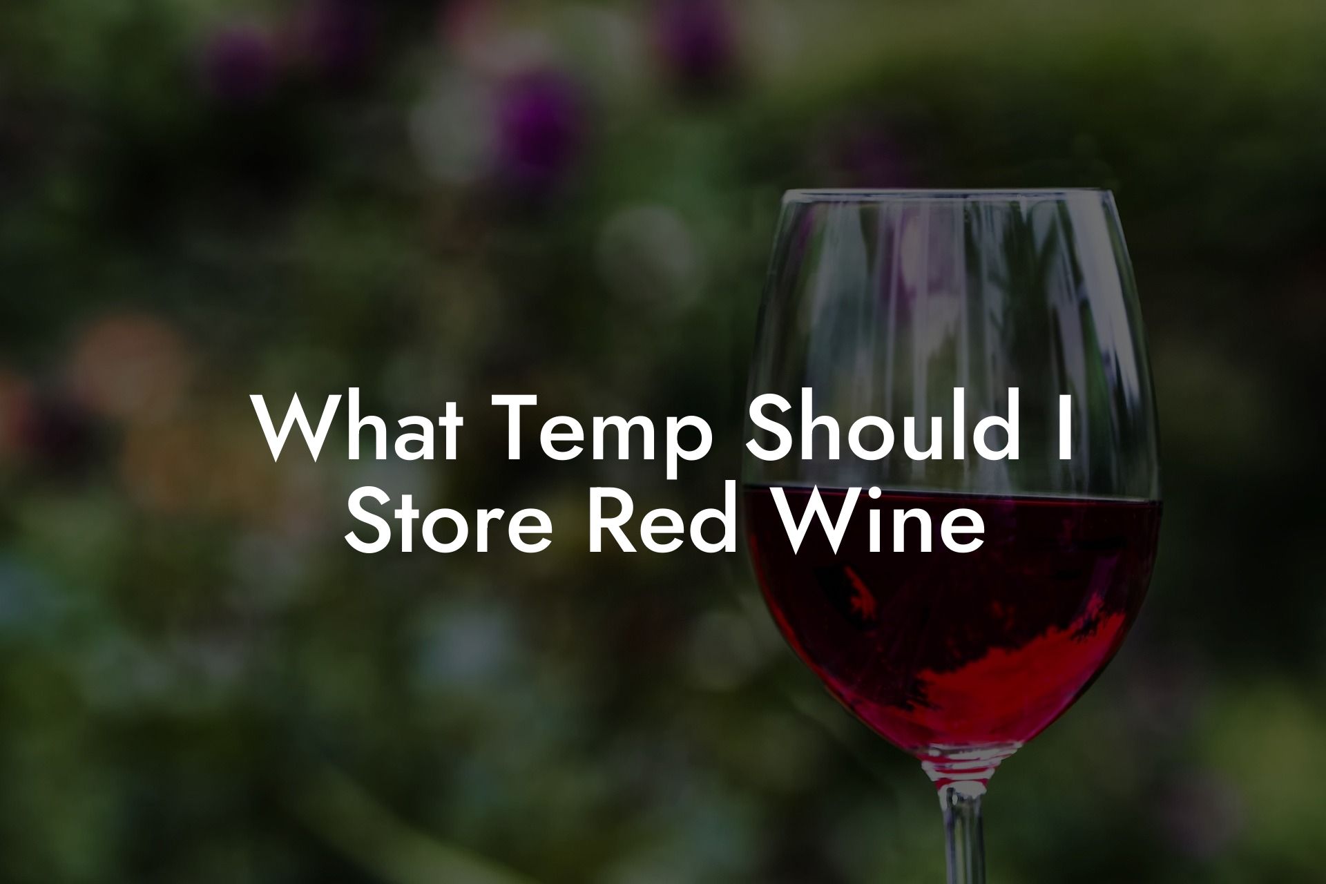 What Temp Should I Store Red Wine