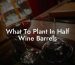 What To Plant In Half Wine Barrels