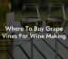Where To Buy Grape Vines For Wine Making