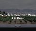 Which Is Healthier Wine Or Beer