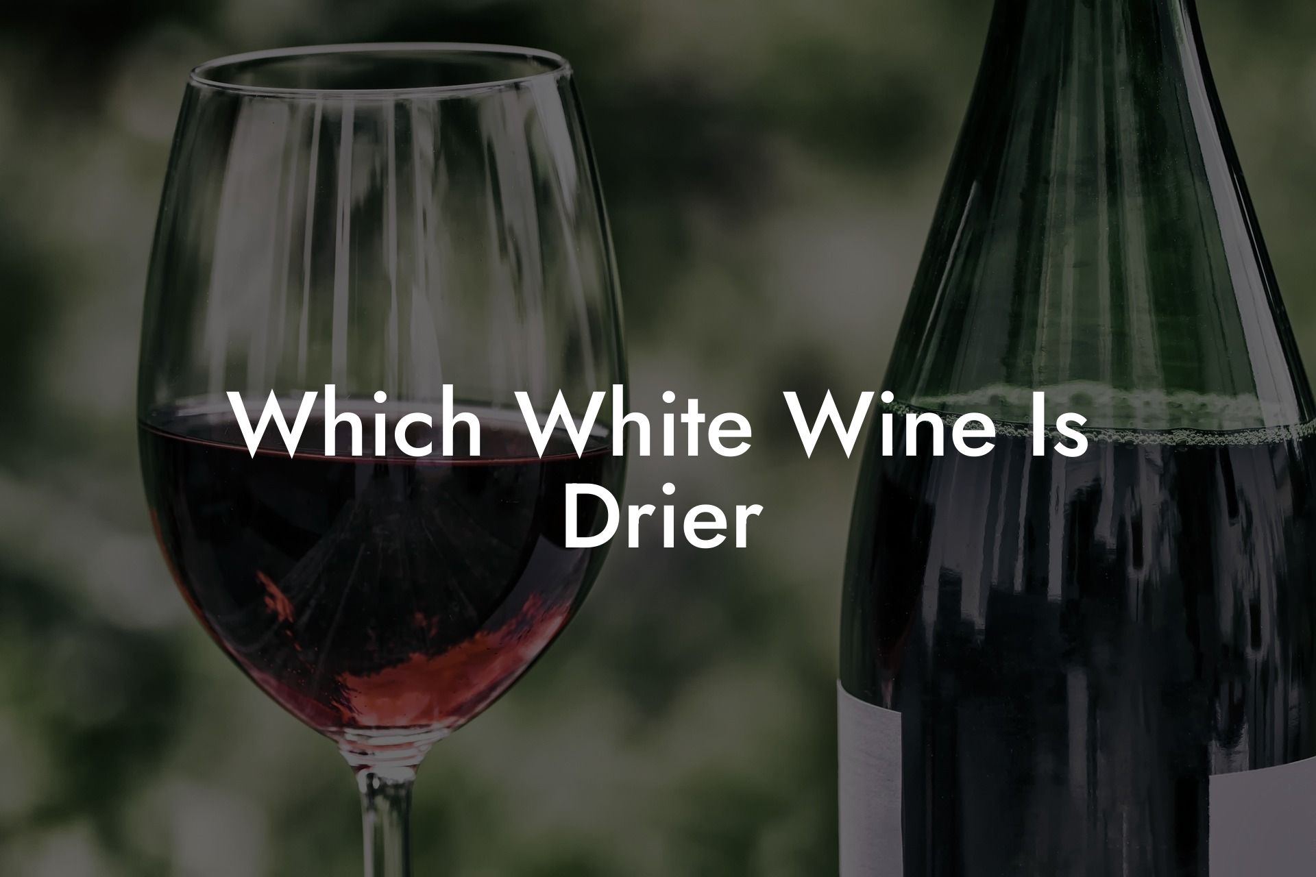 Which White Wine Is Drier