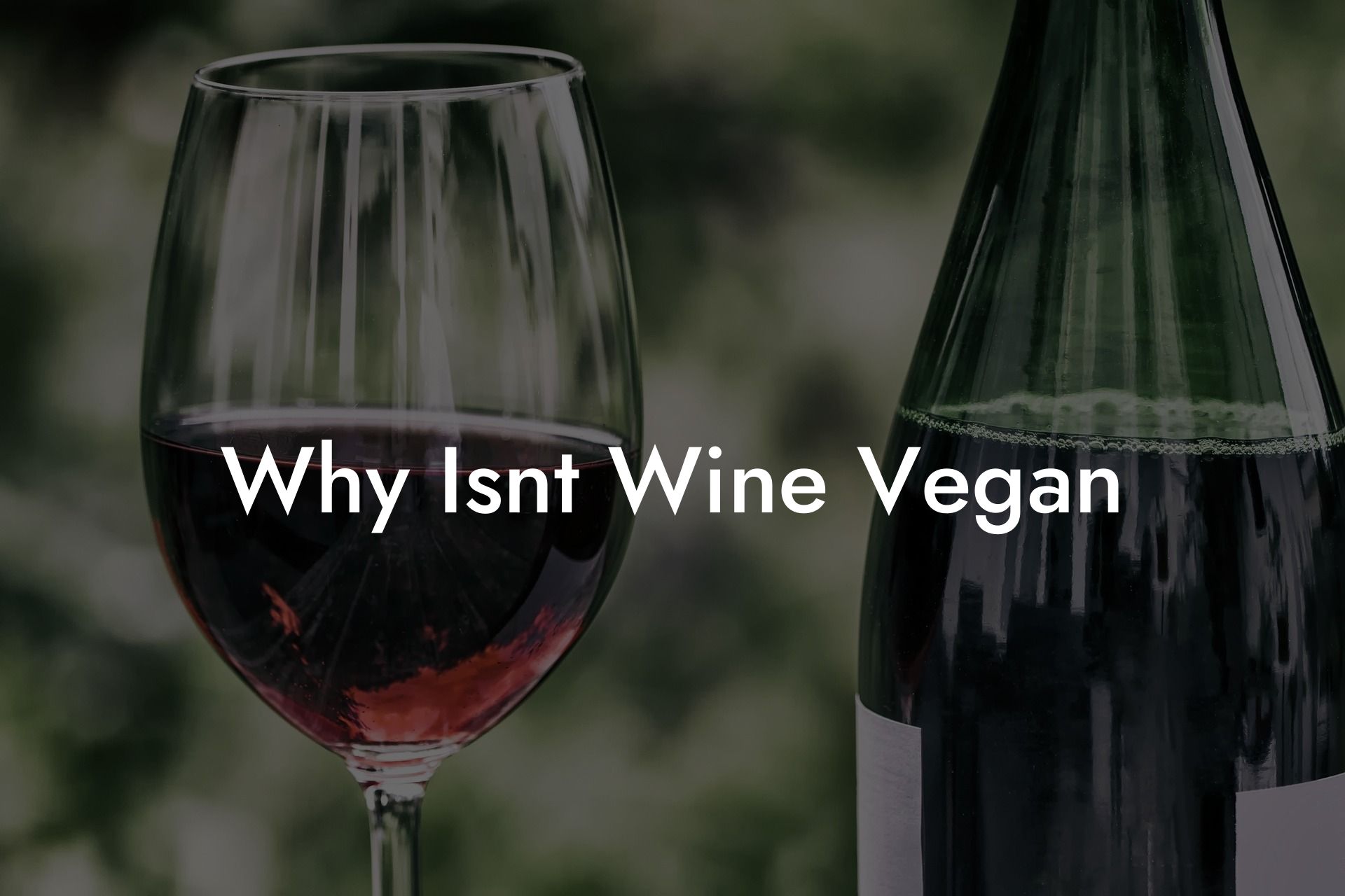 Why Isn'T Wine Vegan